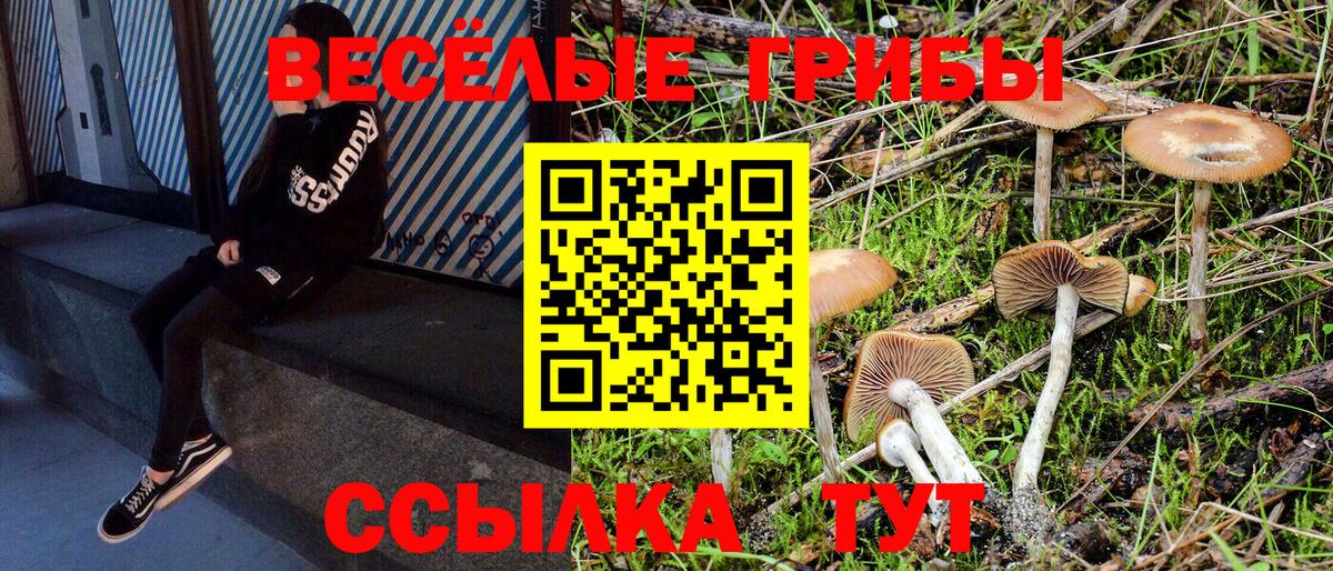 Южноуральск  Галлюциногенные грибы Cubensis  наркошоп  Вход с VPN 