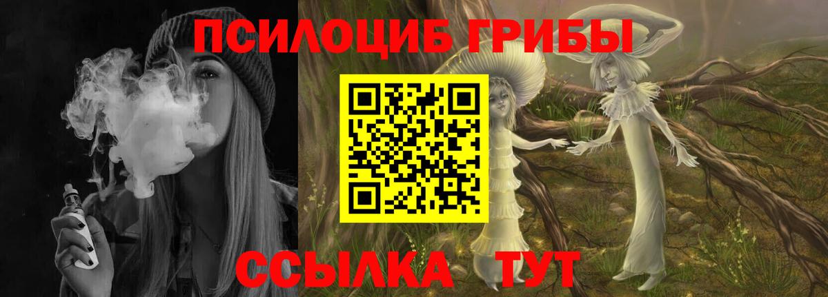 Псилоцибиновые грибы Psilocybe Южноуральск